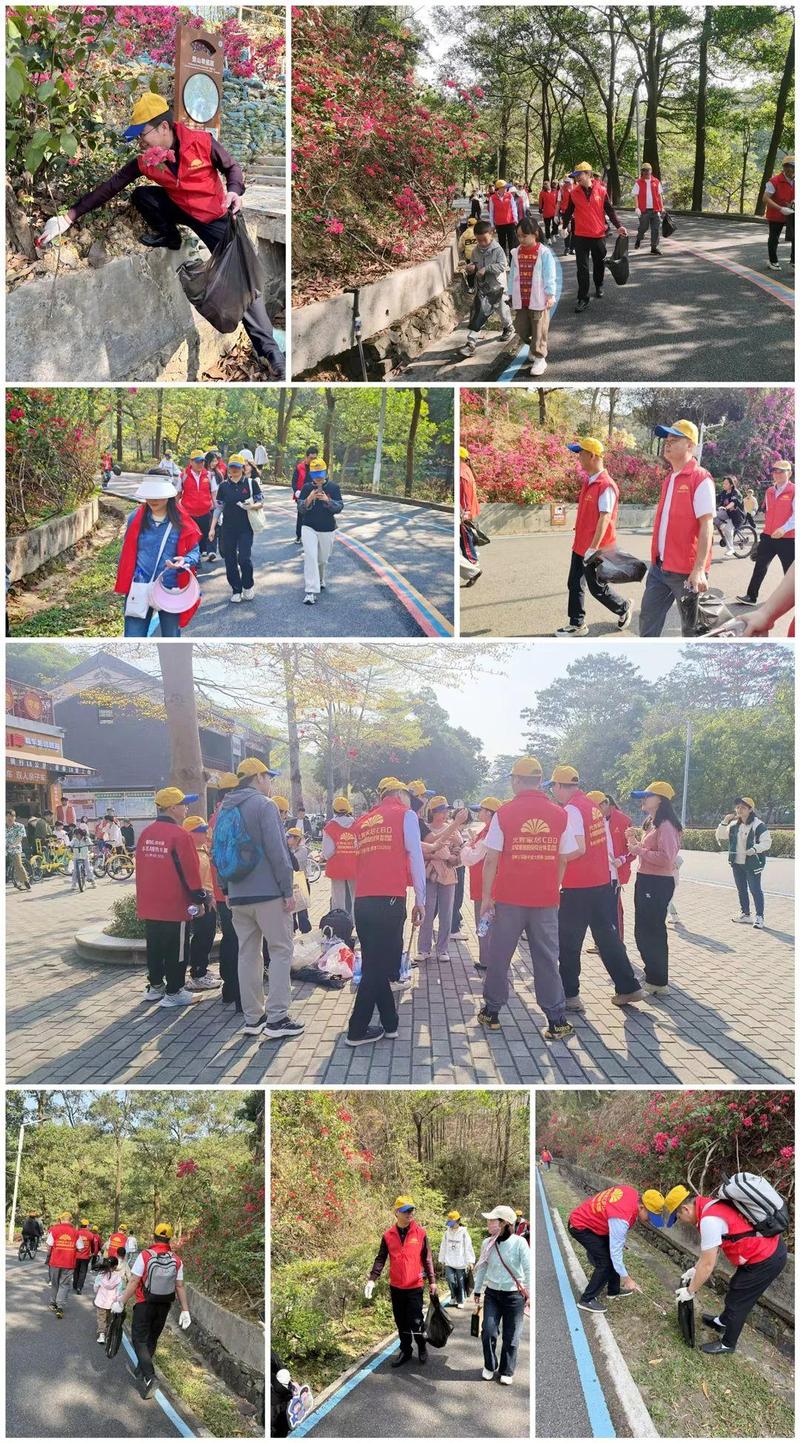 惠州中產(chǎn)教育真相:馬術(shù)與貝多芬之間,你為孩子選的是天堂還是新賽道?